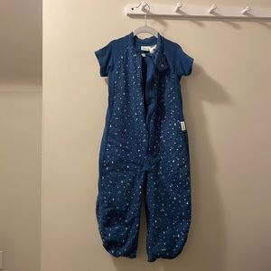 ergoPouch Sleep Suit Bag 1.0 EUC